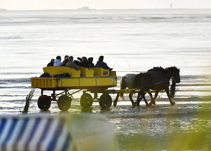 Am Sahlenburger Strand As25